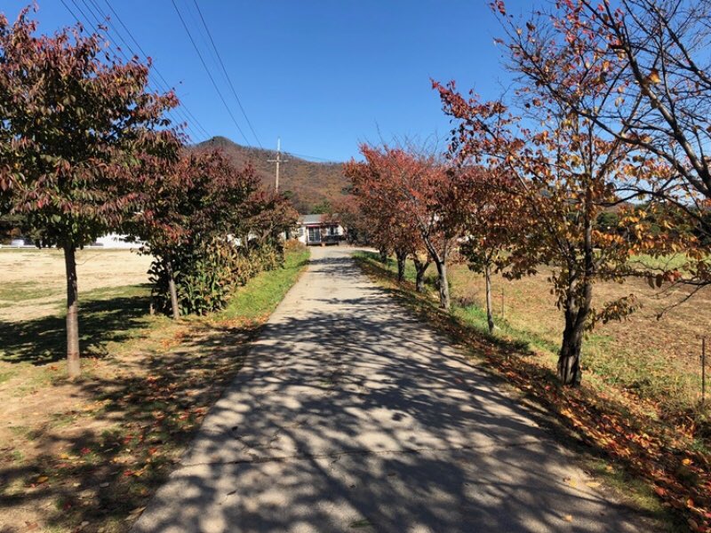 bloomof_youth17's tweet photo. [인스타그램] 210710 에스쿱스
📍 농도원목장
🗺 경기도 용인시 처인구 원삼면 원양로377번길 1-34

#세븐틴 #SEVENTEEN @pledis_17 
#에스쿱스 #SCOUPS #エスクプス https://t.co/Apq8aEMGT4