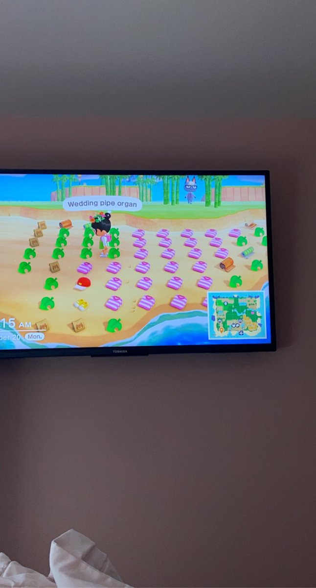 rosebayisland_'s tweet photo. Everything is free ask for dodo code #acnh #acnhtrade #acnhwishlist #AnimalCrossingNewHorizons #dodocode #acnhdodocode https://t.co/wIqLmXhgRe