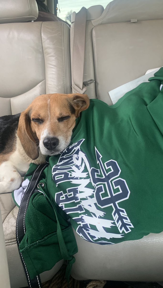 CoachSierra1326's tweet image. When you go out to work on the XC course at White Pine and you end up with a dog #Sierraproblems