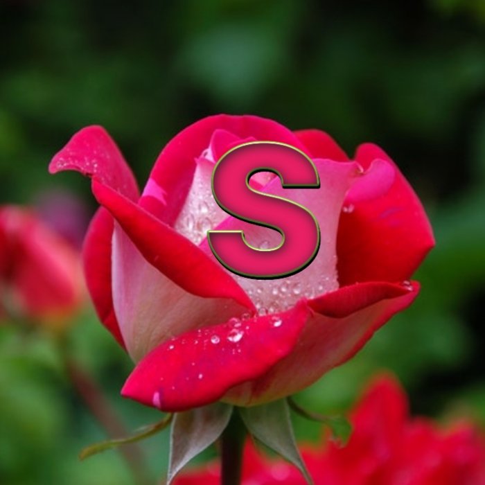 আমি শুধু তোমার
