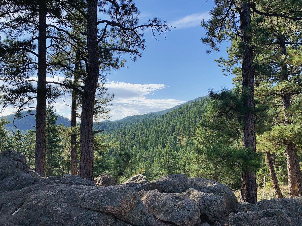 HanSchaefer6's tweet image. Sunday morning hikes