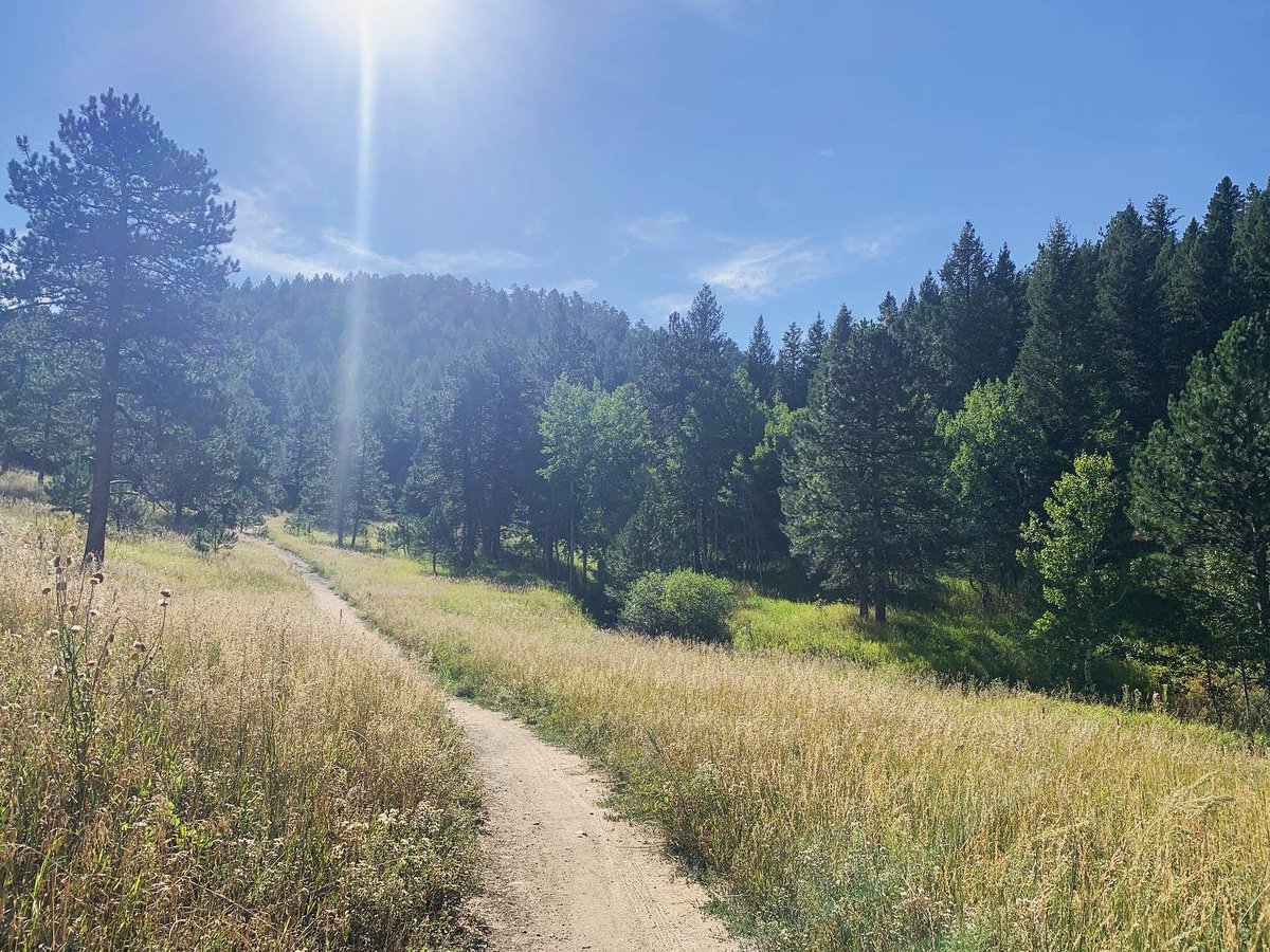 HanSchaefer6's tweet image. Sunday morning hikes