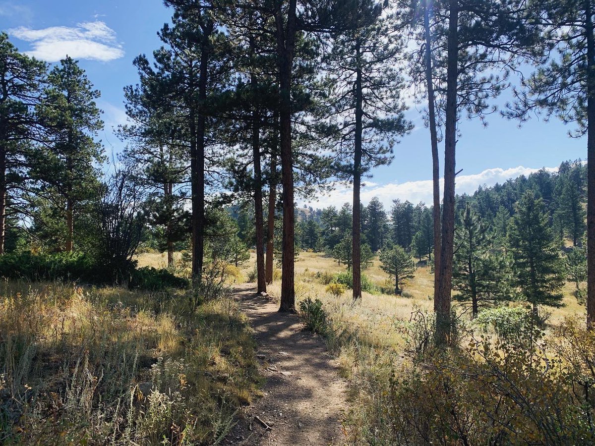 HanSchaefer6's tweet image. Sunday morning hikes