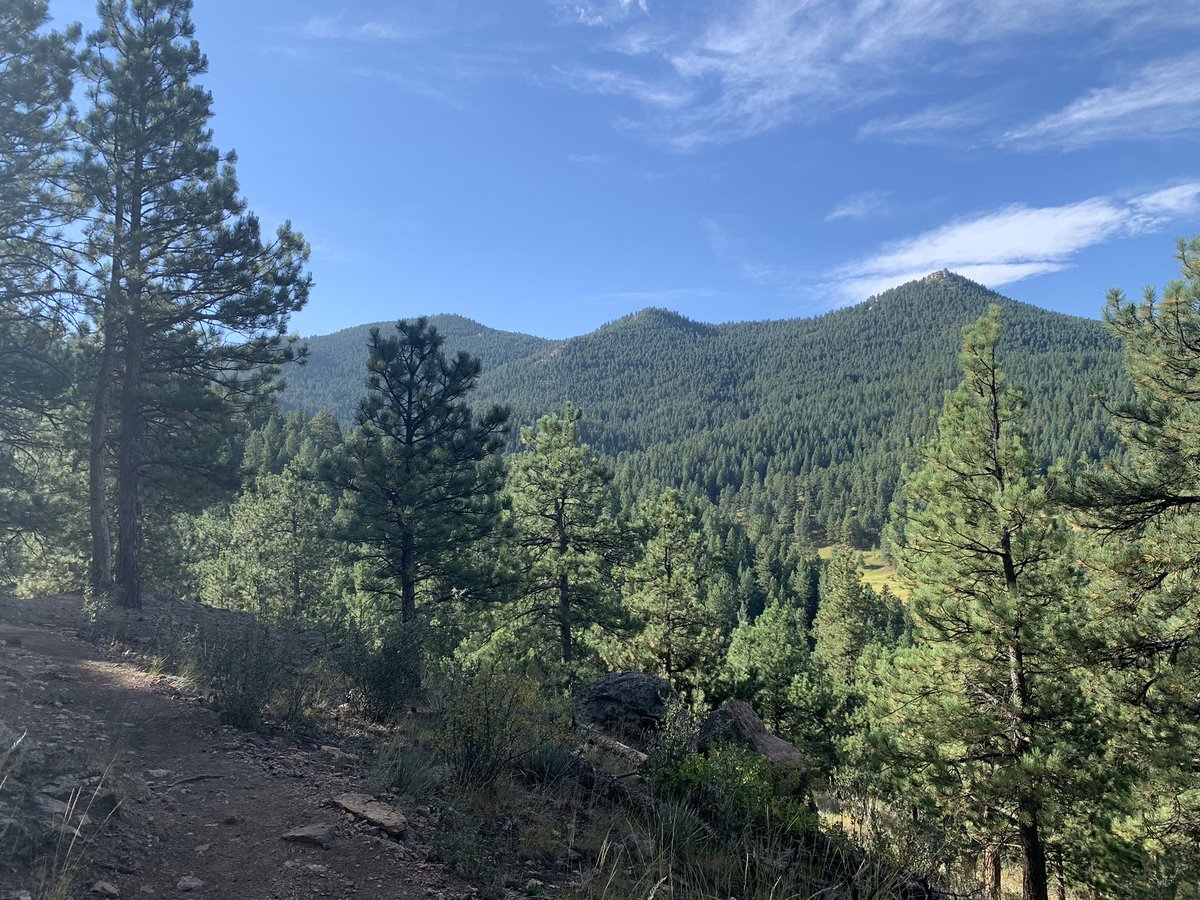 HanSchaefer6's tweet image. Sunday morning hikes