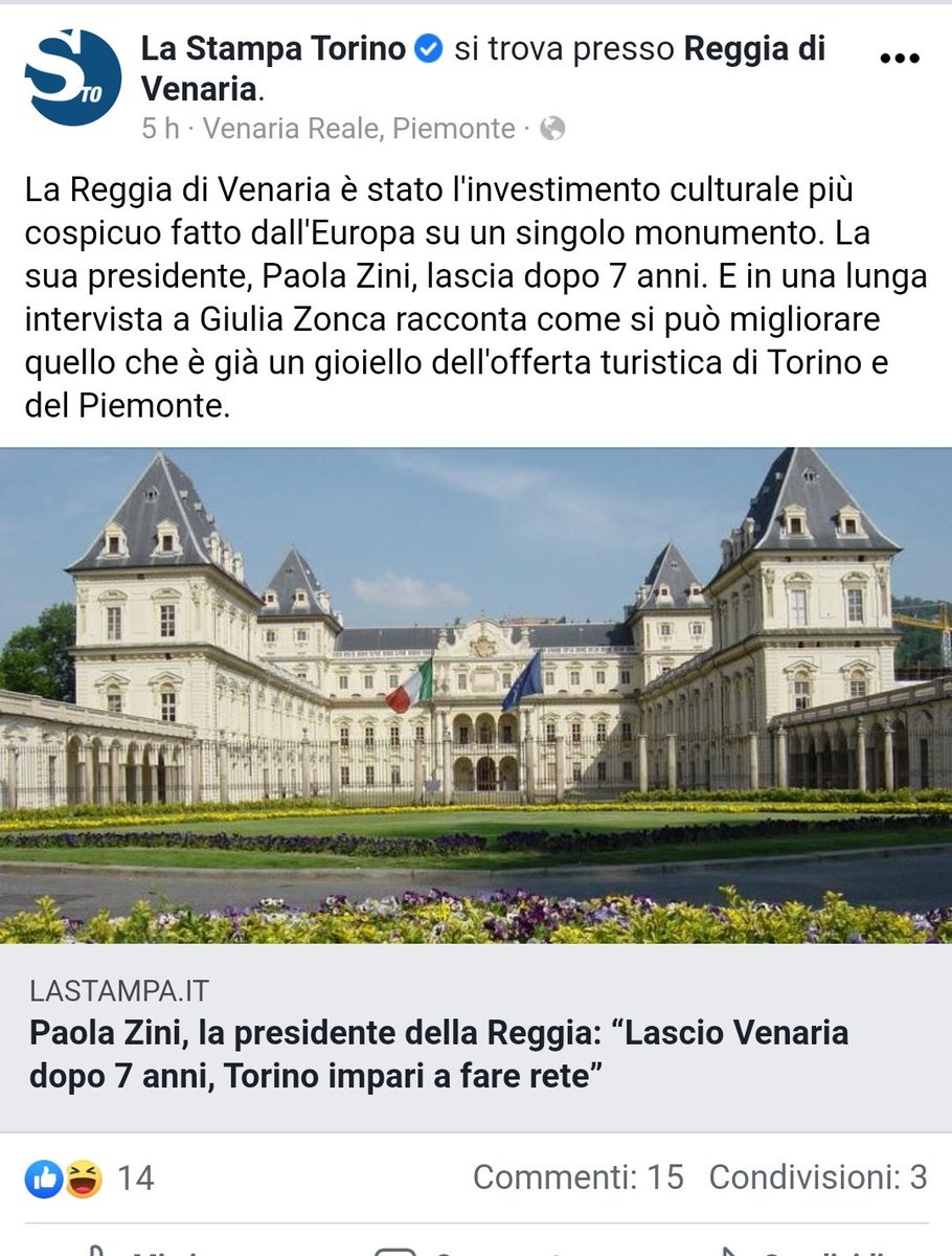 anna wood tweet media