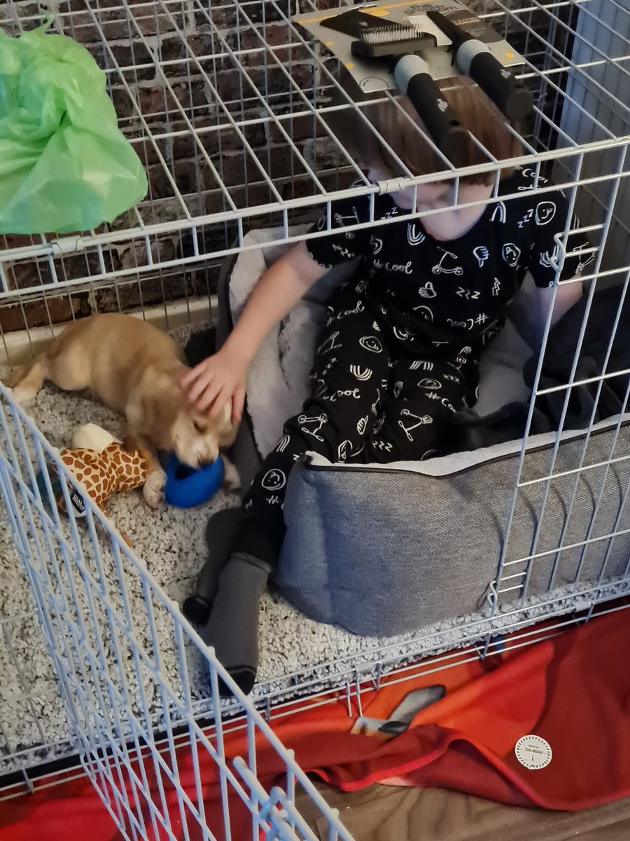 Che Guebeara 🏴󠁧󠁢󠁳󠁣󠁴󠁿 🍀🏆 🐻 tweet media