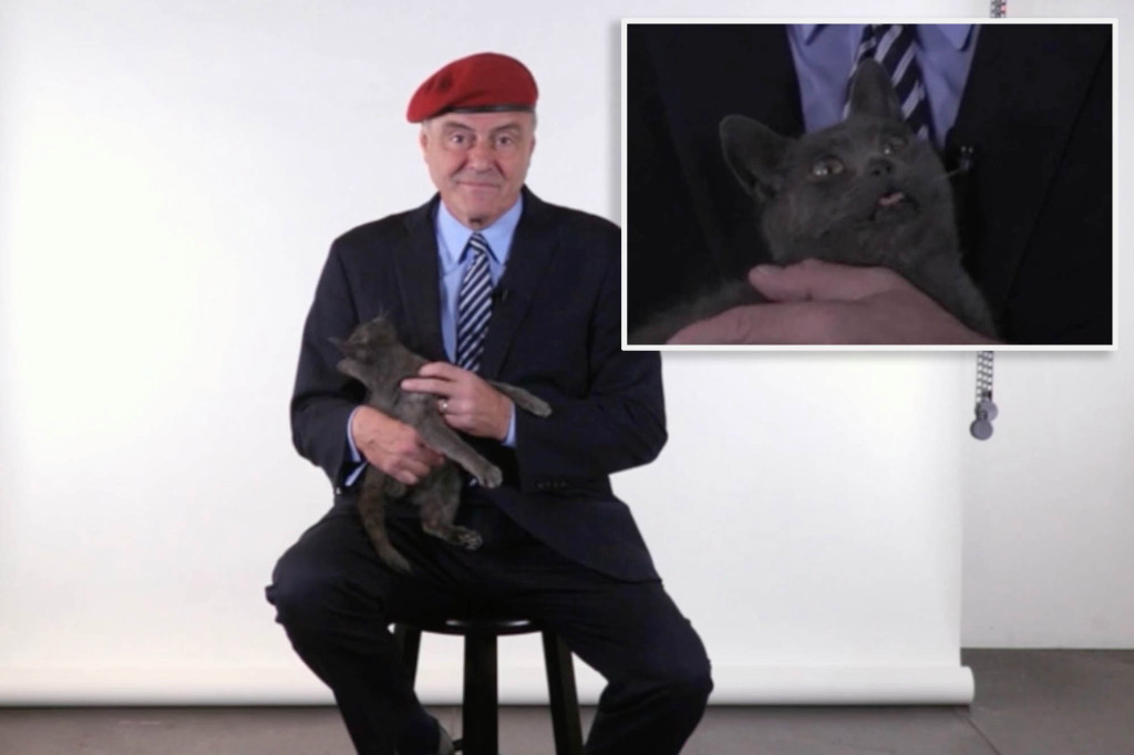 New York Post On Twitter Curtis Sliwa S Rescue Cat Steals The Show In Mayoral Candidate S First Ad Https T Co Fvnvxxzaeo