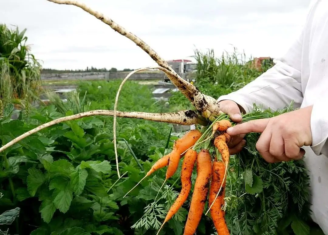 Gateway Research Org tweet media