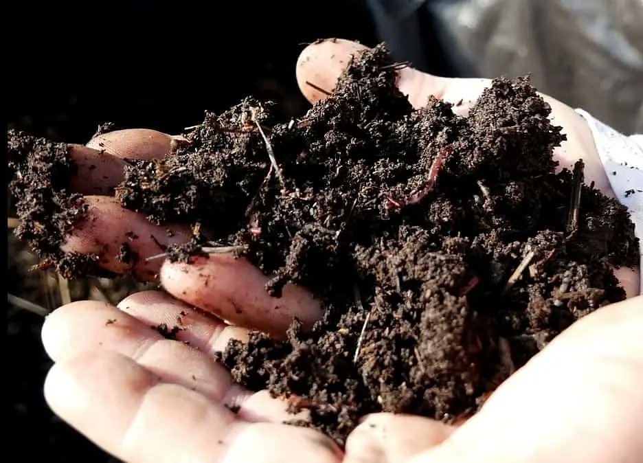 Gateway Research Org tweet media