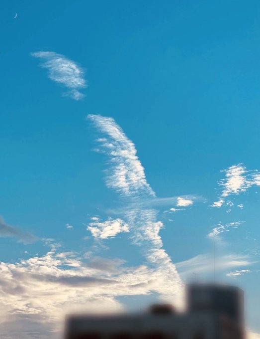 見上げる 高画質 のtwitterイラスト検索結果 古い順