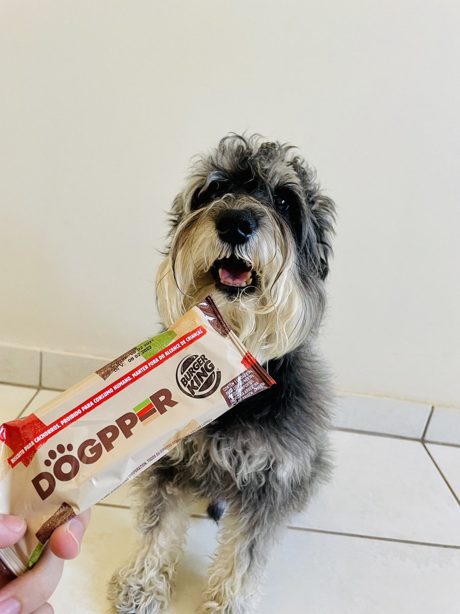 brnoliveira_'s tweet photo. e o Buke que gostou do #Dogpper!
@BurgerKingBR https://t.co/wq5cylXP6P
