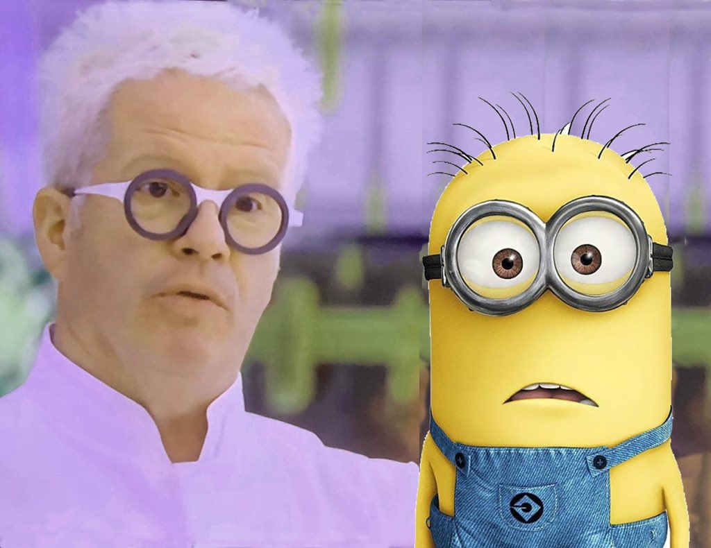 bernardo tweet media