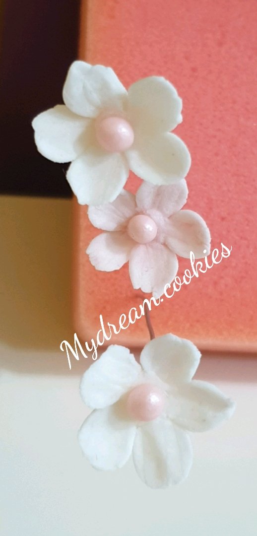 MydreamCookies's tweet photo. ❤every piece made with love❤
#Cookies #sablé #birthday #celebrity #حفلات
 #مناسبات #اعيادميلاد #كوكيز #سابليه #بيتفور_العيد
#الدراسة #مواليد_جدد #بيبي #هشتاق #وش_فطورك #صالون_زهرة #الرياض #الورد_البلدي #زهور #ورود https://t.co/TJeRpmRgw8