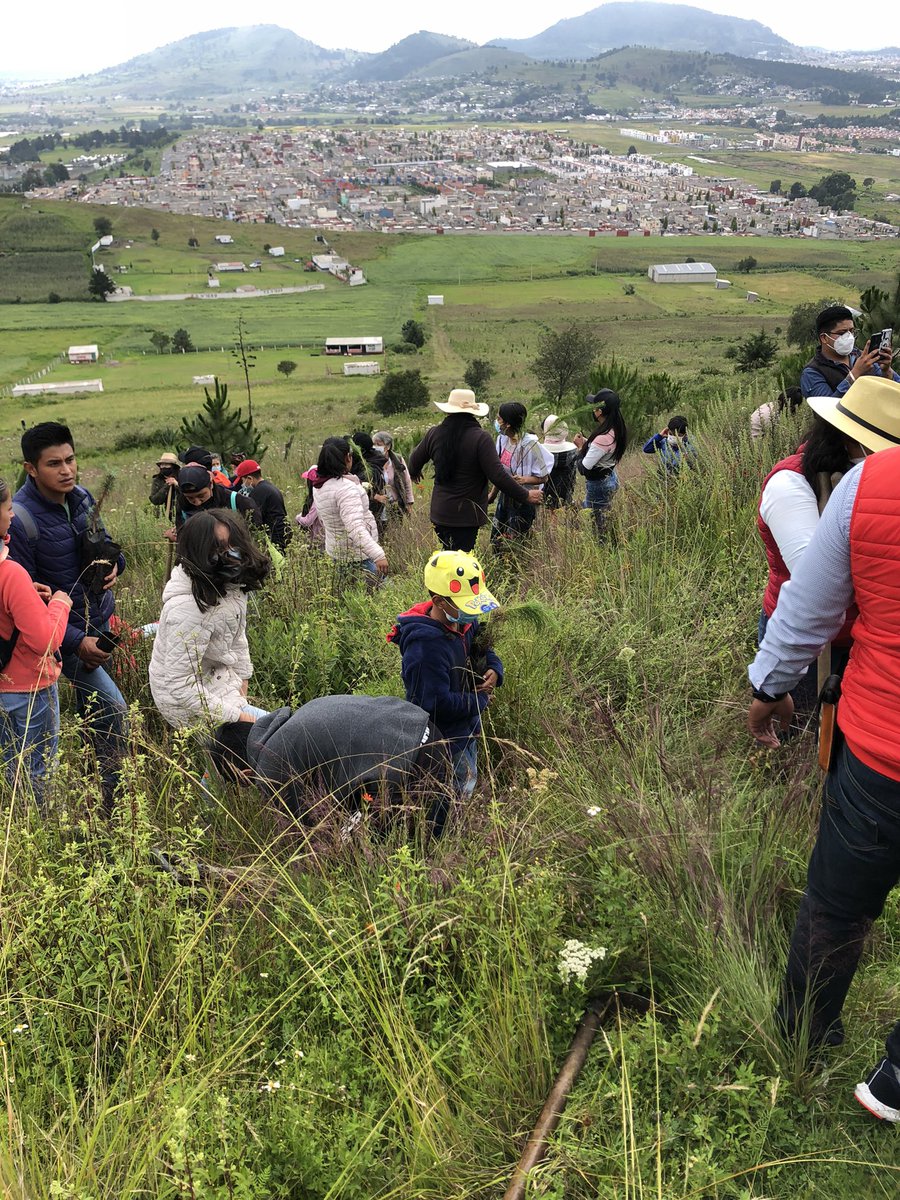 ArqJAC's tweet photo. Una jornada más de reforestación, ahora en el cerro del Molcajete, San Mateo Tlachichilpan. Gracias a los delegados y comisariados, a Mariana Dominguez de la #FOOJ Edomex, así como a las dirigencias municipales de Almoloya de Juárez, JP, JT, RJxM, ChR. Un gran evento sin duda! https://t.co/7rvRGdLXnV