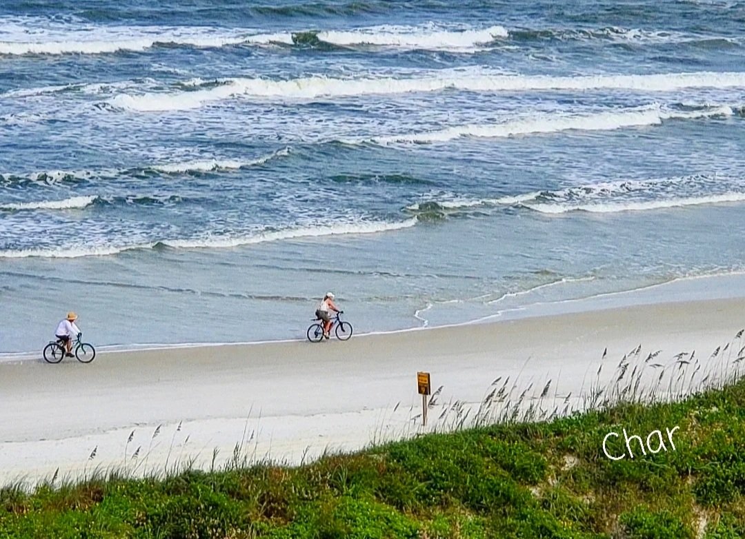 CharFlorida2's tweet image. LIFE IS A BEAUTIFUL RIDE
Thankful... Grateful...
🌾🌾🌊🌊🚴‍♀️🌊🌊🌾🌾
#ByTheSea #SeptemberDays