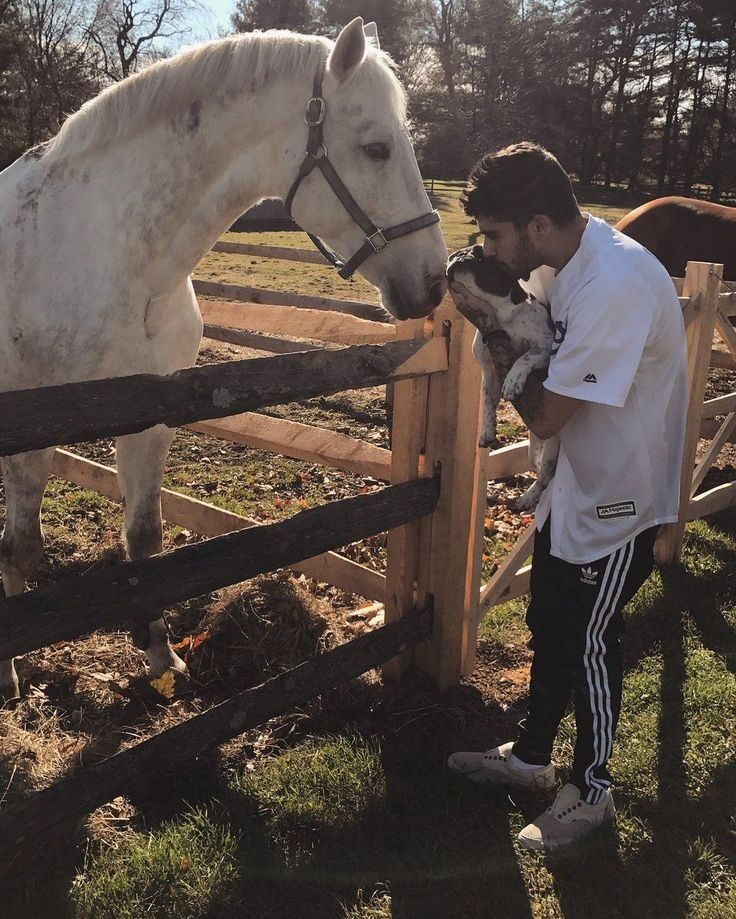 4niall_potatoes's tweet image. Ролевой аккаунт Зейна💜
Иногда что-то пишу от себя