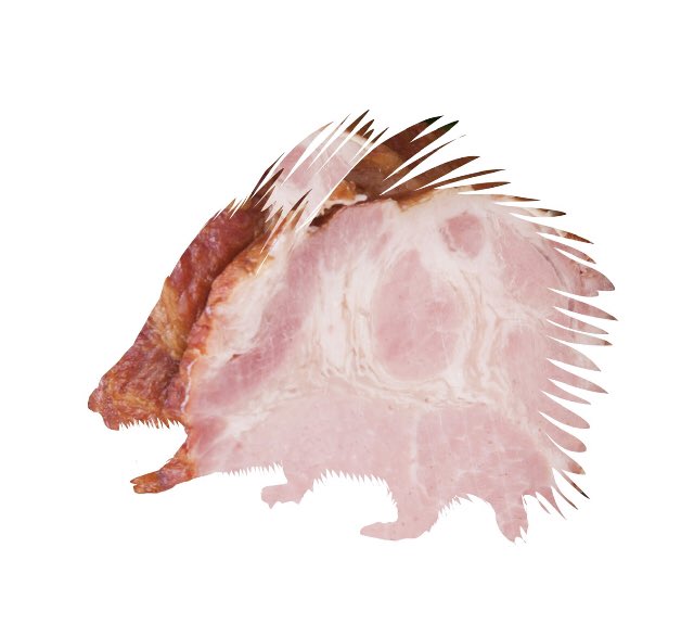 HAMANIMALS's tweet photo. 🪴NEW ARRIVAL🪴

We had to put gloves on for this little guy who arrived today. We have his shelter all ready too, with great shade, rocks and a tiny waterfall. No expense spared for this champagne ham porcupine! #hamanimals #NFTcollection #nftart #Ethereum https://t.co/32tPxy3SrJ