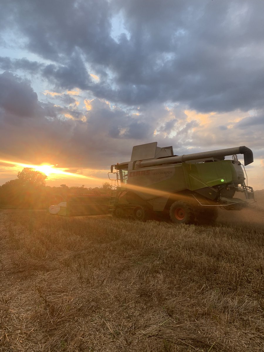 EmmaBen55222614's tweet photo. Harvest 21 ✅💚🍃🌾 

#baileytrailers #claascombine #Harvest2021 #JohnDeere #claas #wheat #oilseedrape https://t.co/VdG8LExn9o
