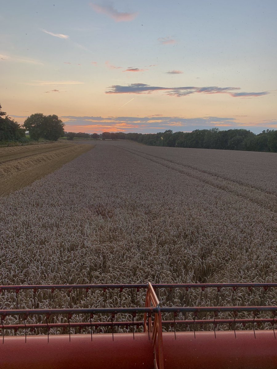 EmmaBen55222614's tweet photo. Harvest 21 ✅💚🍃🌾 

#baileytrailers #claascombine #Harvest2021 #JohnDeere #claas #wheat #oilseedrape https://t.co/VdG8LExn9o