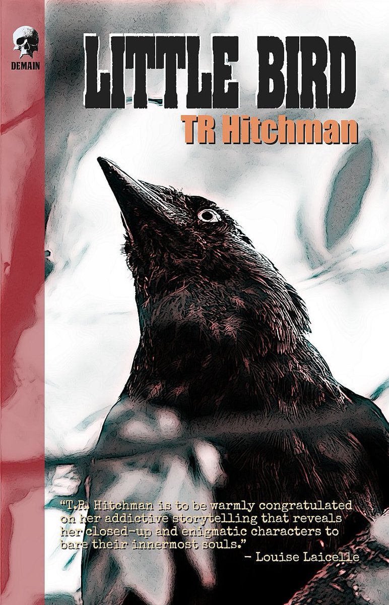 TheDreaming4's tweet photo. Happy Paperback Release to LITTLE BIRD by @TRHitchman!🎉
After an unsettling visit to a concentration camp, now a historical site to remember the horrors of war, Anna finds that something dark &amp; malevolent has followed her outside the confines of the camp.
https://t.co/HebL86pQJ0 https://t.co/G3zsUjdqzt