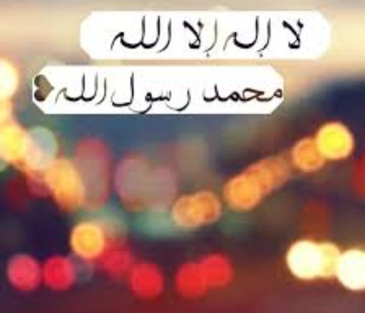 rahel hamawandi (@hamawandirahel) on Twitter photo 