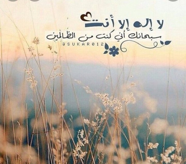 rahel hamawandi (@hamawandirahel) on Twitter photo 