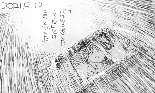 ちょう降ってましたね 