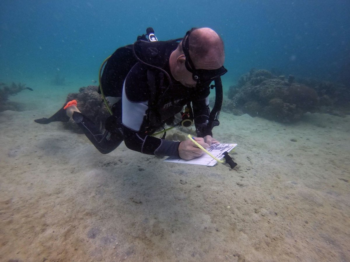 Olivier has been super a helpful volunteer in the last year with Reef Check surveys, Dive Against Debris, and generally any Eco diving we have been conducting. 
@reefcheckfoundation @coralwatch #reefcheck #reefwatch #citizen #science #greenfins #ecodiving #ecodivers