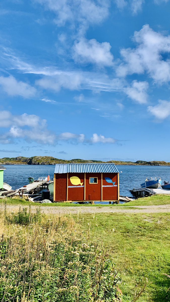 TheRealHCD's tweet photo. Well, today proved that it’s definitely still summer! Much more cam than yesterday &amp; Friday night. ☀️🌊🙏🏻 #RameaNL

#ExploreNL #NLwx #NewfoundlandAndLabrador #YourBackyardBeckons https://t.co/uRgY9F9kGr