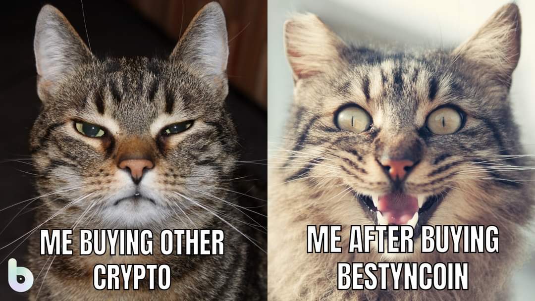 BestynCoin's tweet photo. Bestyncoin is ONLY $0.05 this week. ❤️‍🔥

✔️Hurry Up and Buy at the ICO Price until September, 19th. 

https://t.co/IB11laXYGi https://t.co/ItXfy6V0NZ