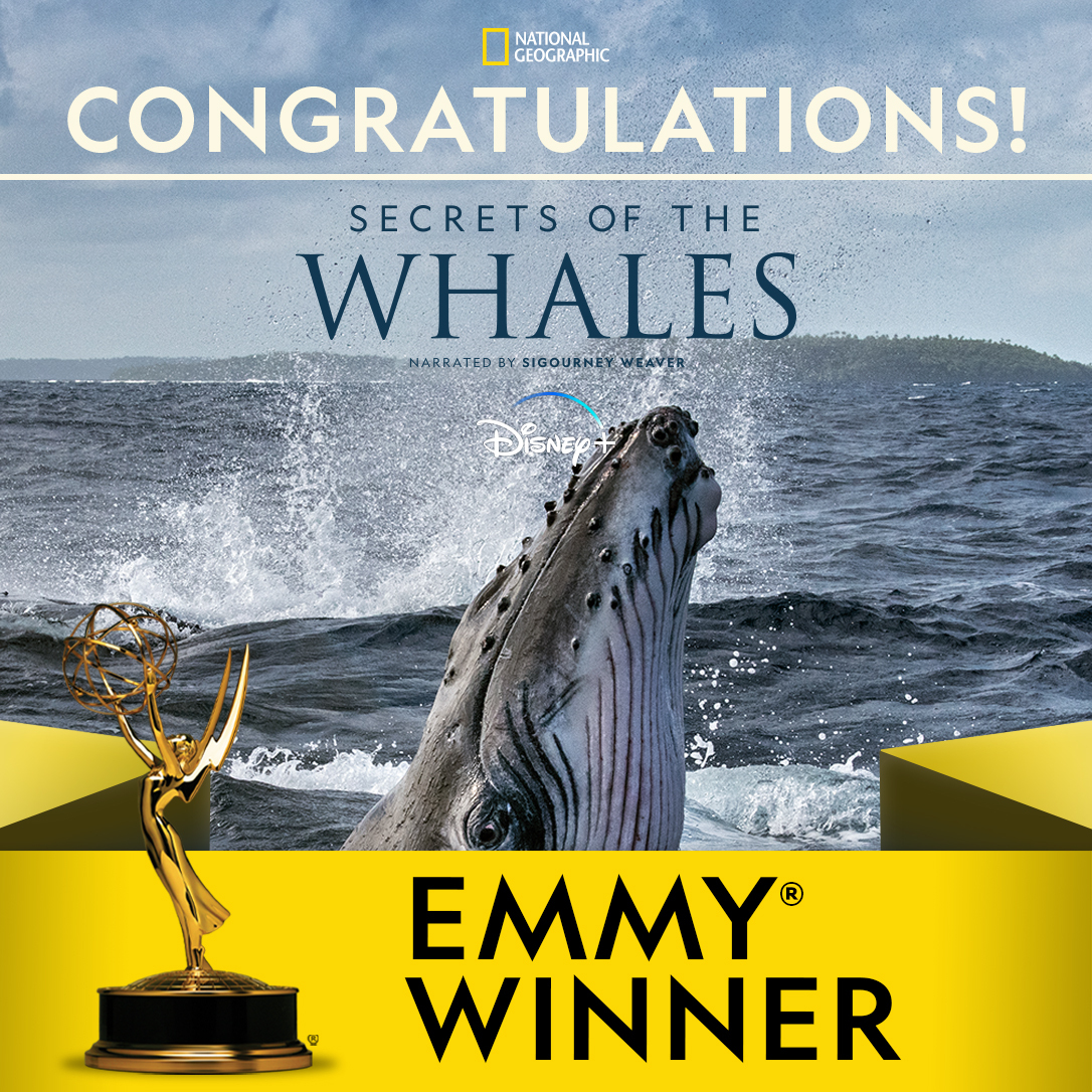 Red Rock Films (@redrockfilms) on Twitter photo We won!!! âSecrets of the Whalesâ was awarded the Creative Arts Emmy for Outstanding Documentary Or Nonfiction Series. Thank you <a href="/TelevisionAcad/">Television Academy</a> and the entire team that made this happen. â¤ď¸
#EmmyWinner2021 #SecretsoftheWhales We won!!! âSecrets of the Whalesâ was awarded the Creative Arts Emmy for Outstanding Documentary Or Nonfiction Series. Thank you <a href="/TelevisionAcad/">Television Academy</a> and the entire team that made this happen. â¤ď¸
#EmmyWinner2021 #SecretsoftheWhales