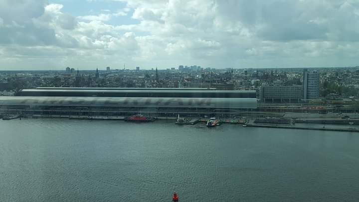 Peter Scoins tweet media