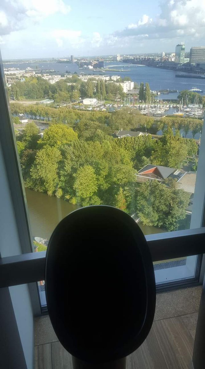 Peter Scoins tweet media