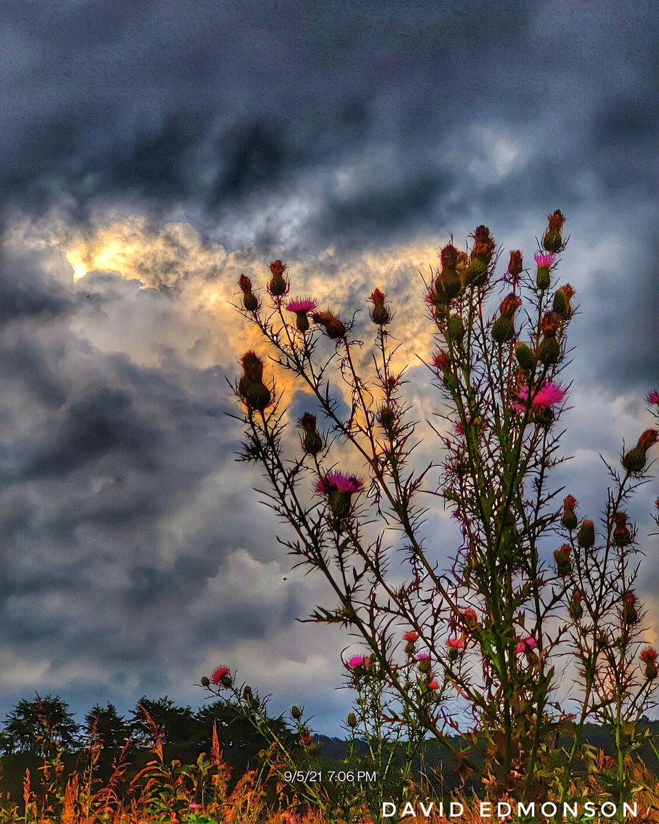 Changes #mobilephotography #shotononeplus #NaturePhotography #photography #shootandshare #9pro @oneplus