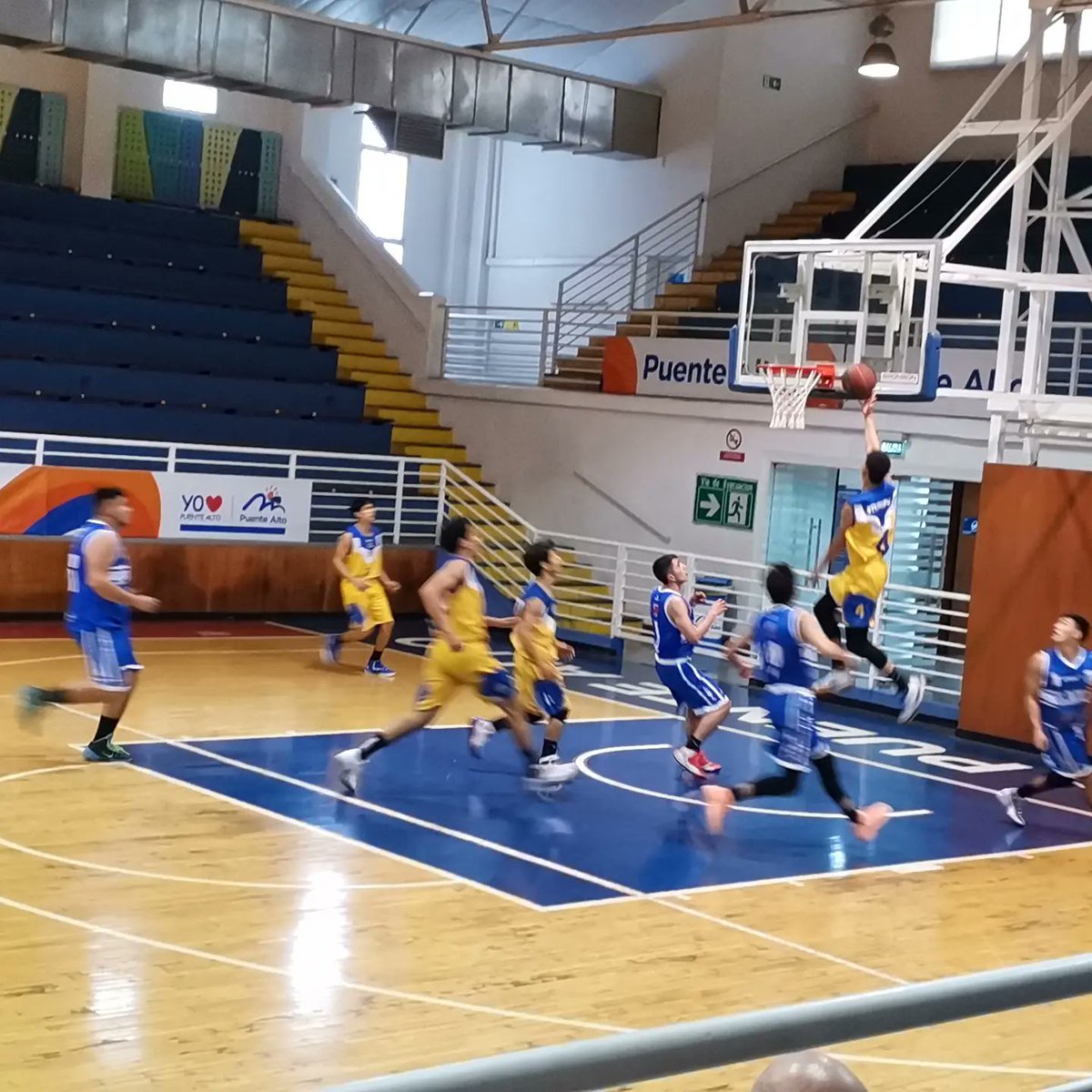 Asoc.cordillera Palt tweet media