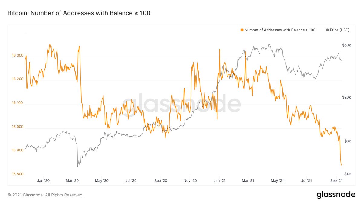 onchainjunkie's tweet photo. #btc addresses with greater than or equal too 100 bitcoins took a huge drop last week. https://t.co/ldE5w0nii9