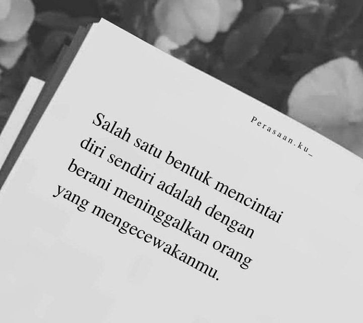 Rindu Senja tweet media