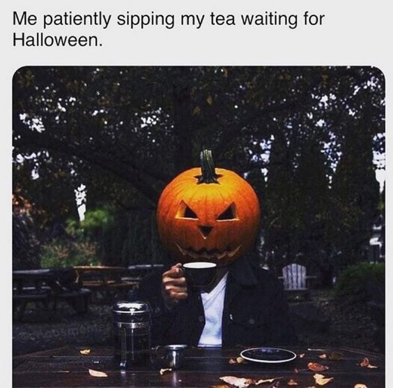 Mary Stedman (@autumnhertz) on Twitter photo 