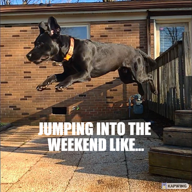 _brandonwhitley's tweet photo. How I look Friday at 4pm #MyMeme #MCO335 #JFF #labsoftwitter https://t.co/c49Vn6uKfR