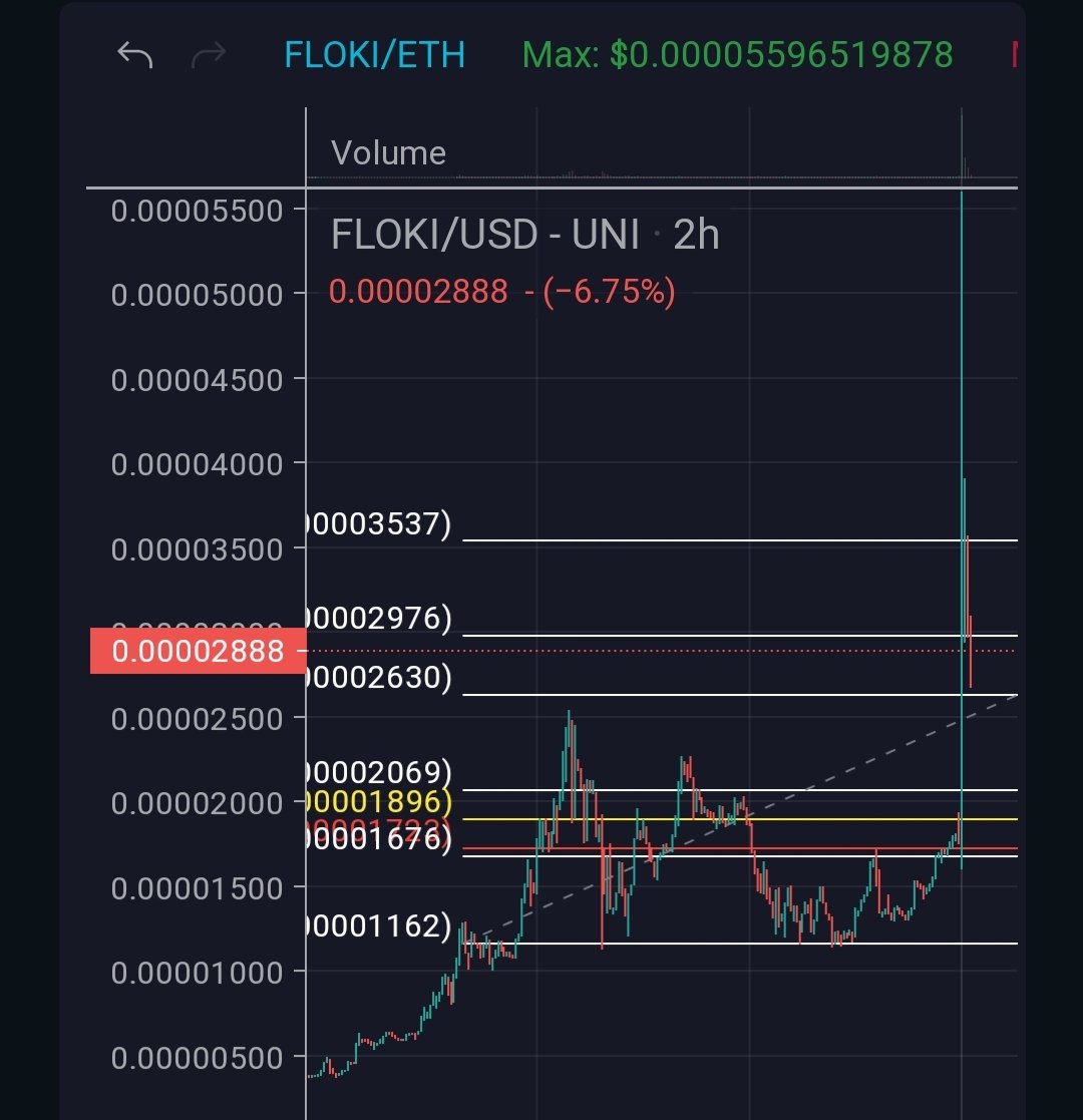 $FLOKI is pumping! 

Next targets .2976 &amp; .3537! 📈🚀