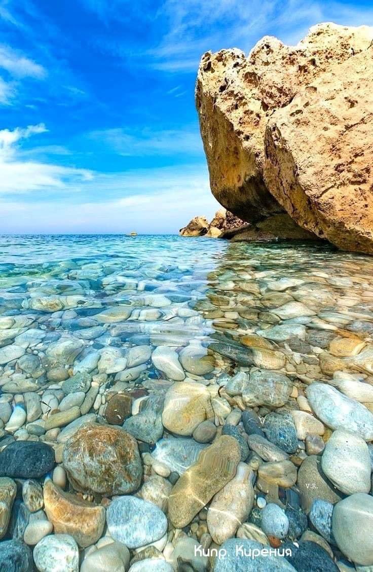 Pavlo 🏝️🐬 tweet media