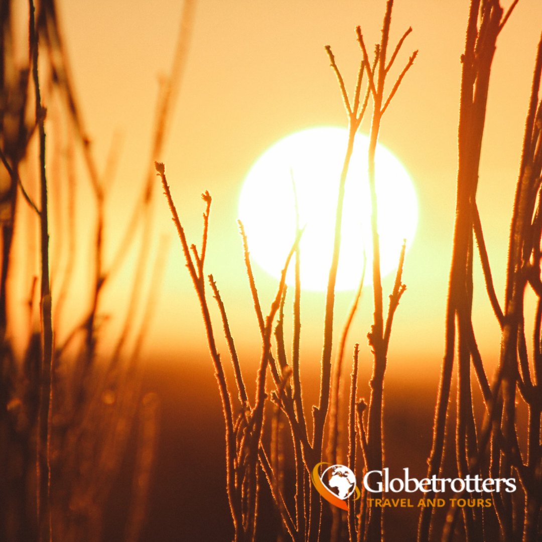 𝗛𝗮𝗽𝗽𝘆 #Monday!🌅  😊 😄 

#Nature is a miracle and you are part of it. You can be one too!

.
.
#MondayMorning  #MondayThoughts #Sunrise #PositiveVibes  #Travel #JourneyHero
#globetrottersafrica #globetrottersug #bookings