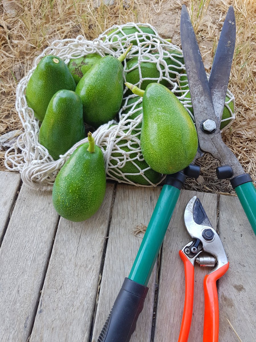 Farkında mısınız? Kuraklığın ayak sesleri geliyor. Bu fotoğraflar albümlerde kalabilir. Su yok. Yağmur umudumuz. Bahçelerimiz kuruyabilir.
