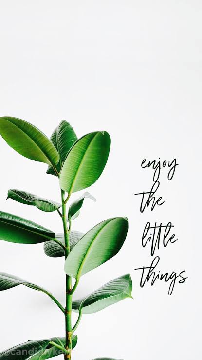 Teamrushit's tweet photo. Because the little things in our environment that we don't observe does matter.❤️
#teamrushitfoundation #humanitywithheart #littlethings #observation #happyday https://t.co/nbTjqDaEh9