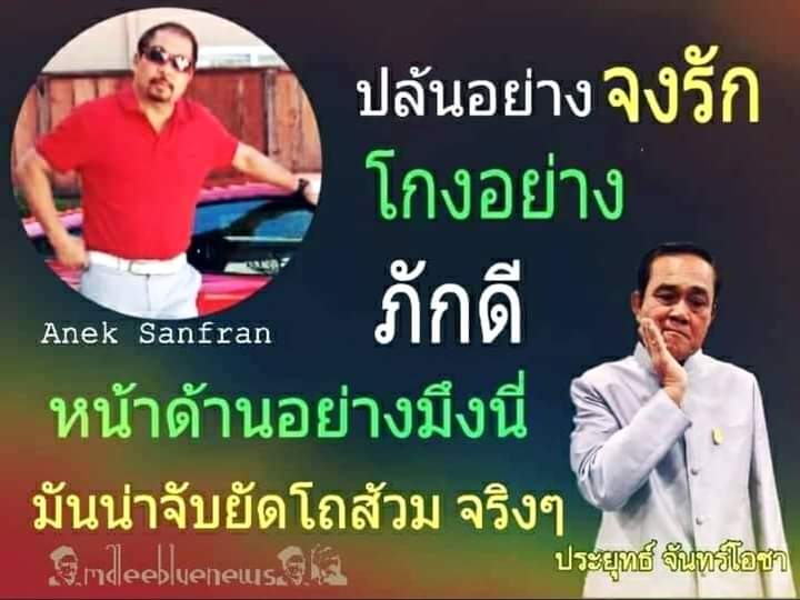 Leader Democracy tweet media
