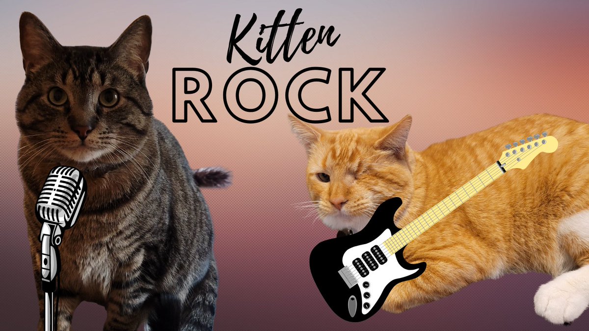 PawsitivelyPaw3's tweet image. "We starting a band but need a drummer, bassist, and backup singers. Auditions open now!"
-Kitten Rock (Ares and Prometheus)
