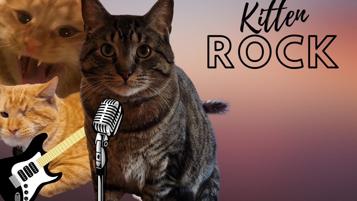 PawsitivelyPaw3's tweet image. "10000/10, amazing backup singer! You have been approved!"
-Kitten Rock
