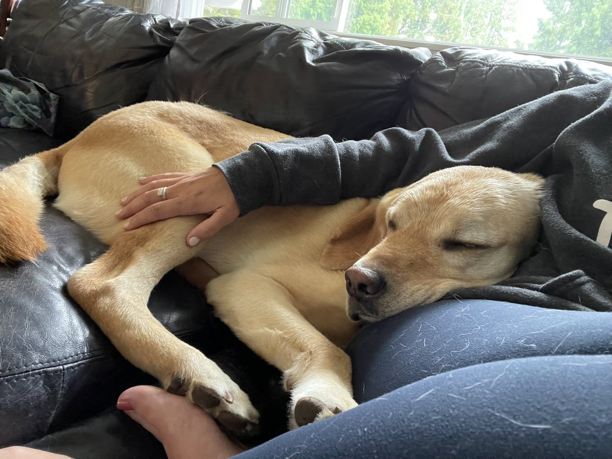 Such a hard day….! <a href="/lfenenal/">Laurie Ebenal</a> <a href="/Sviatko4/">Laurie Sviatko</a>