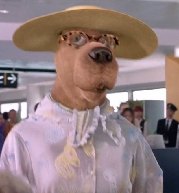 chancewillie's tweet image. i have notified the TSA @zactownsend_