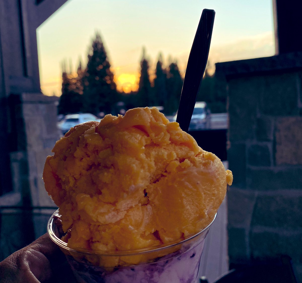 Woke up at 6am in Michigan and now enjoying huckleberry ice cream in Idaho for dinner.  Still wearing maize #GoBlue #MaizeOut #TiredButHappy